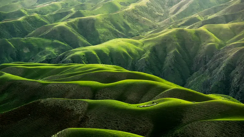 Rolling green hills under soft sunlight